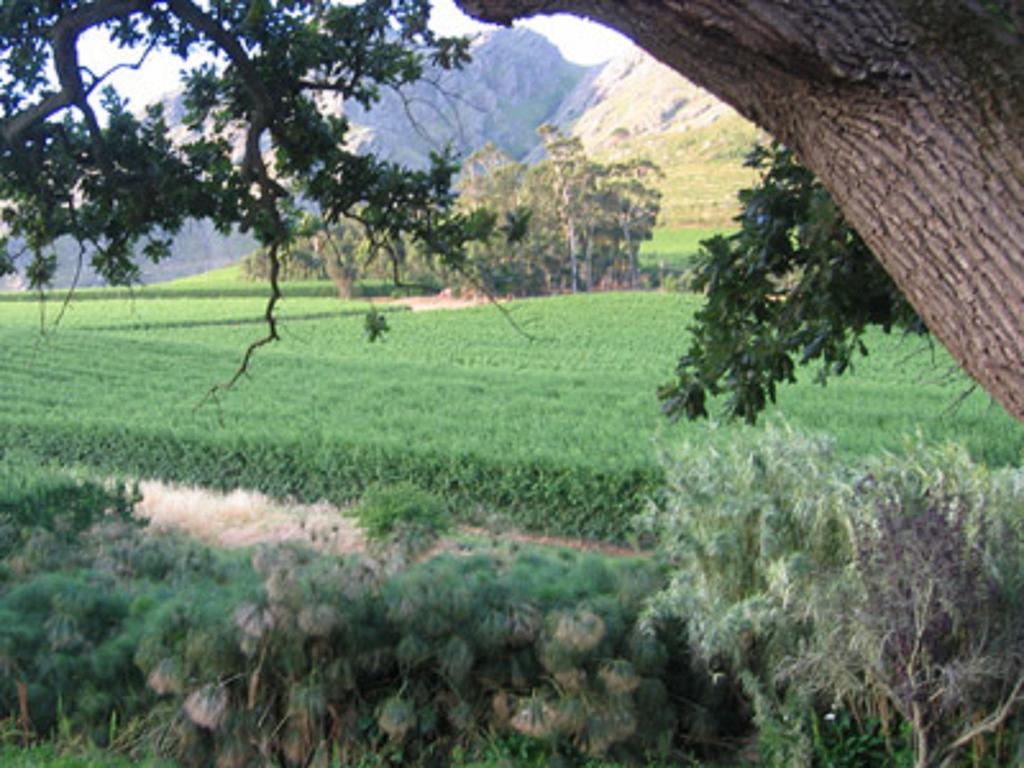 La Terra De Luc Villa Franschhoek Exterior photo